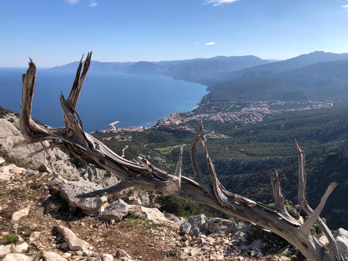 Appartamento Casa Antonella Cala Gonone Esterno foto